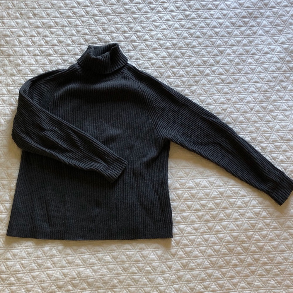 Gap Turtleneck